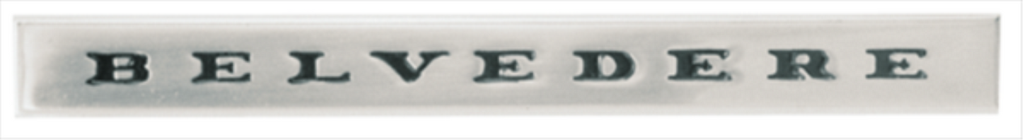 VC2115 - 1967 GTX Belvedere  fender emblem.  Brushed Face with Black satin letters and polished chrome sides as original. 2582115